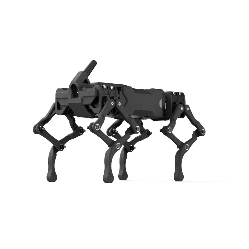 12-DOF robot dog patroller